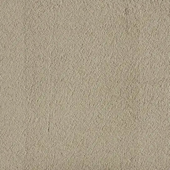 TEXTURE CAMEL