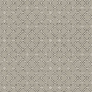 COLORTEC STUCCO PLUS PASHIMINA BEIGE