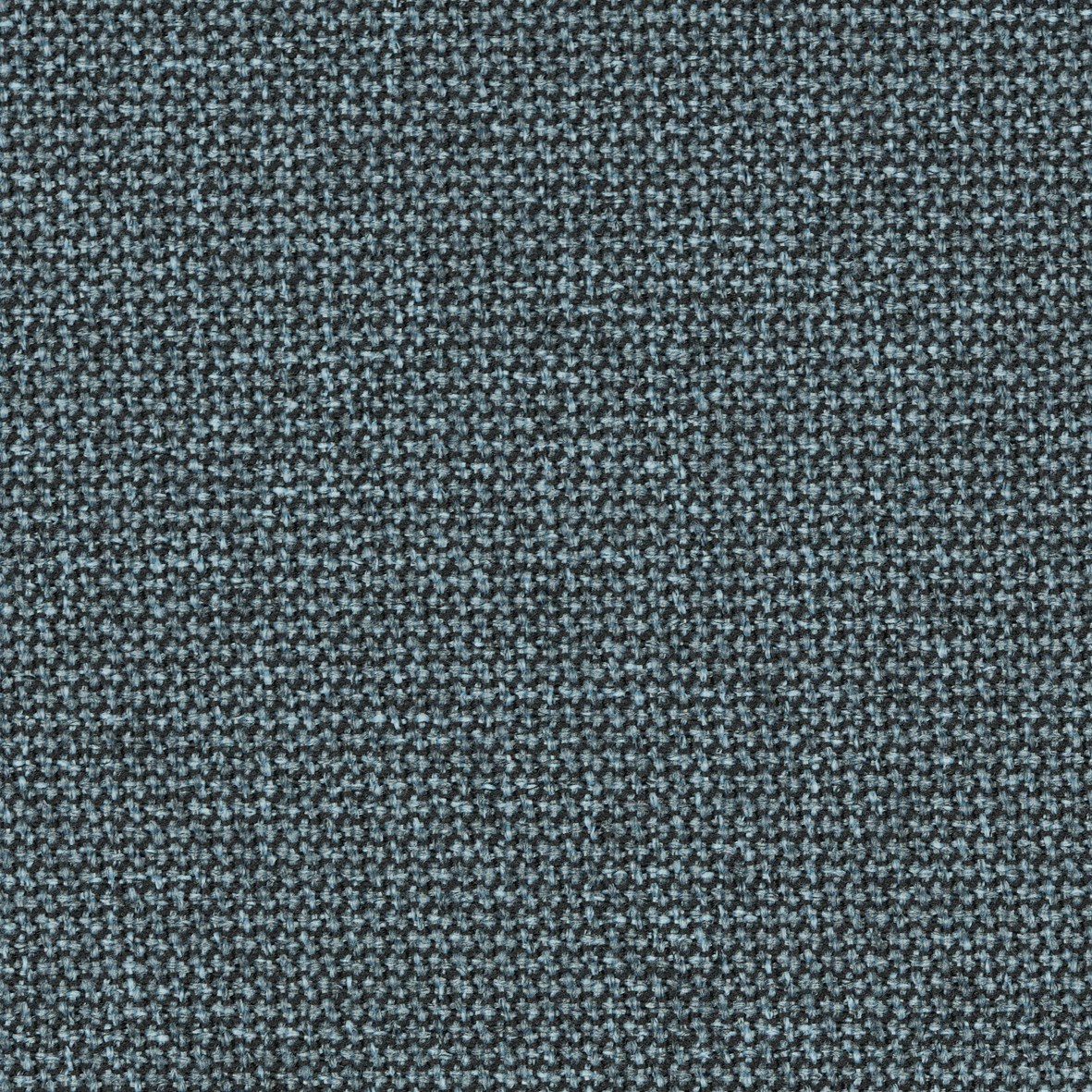 RENEWED LOOP SCREEN