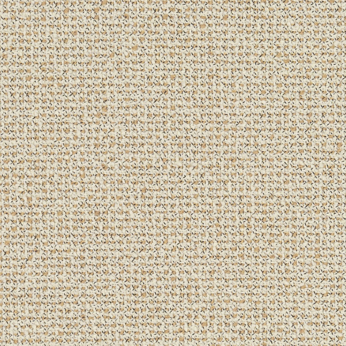GRAIN