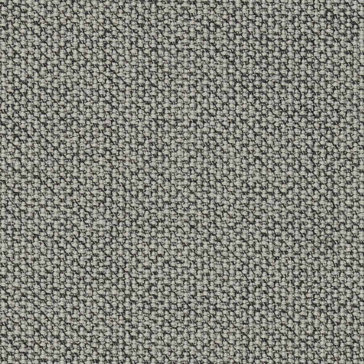 TAILOR